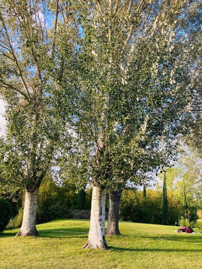 Podere La Chiusella B&B Rapolano Terme Bagian luar foto