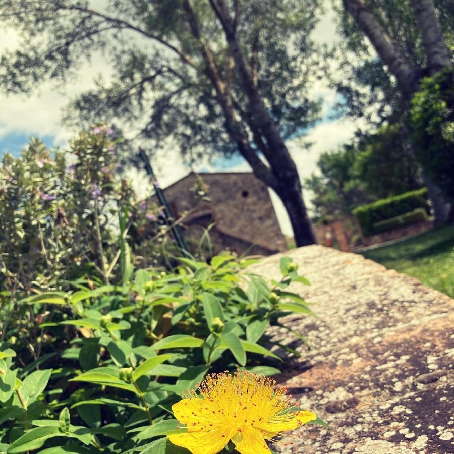Podere La Chiusella B&B Rapolano Terme Bagian luar foto