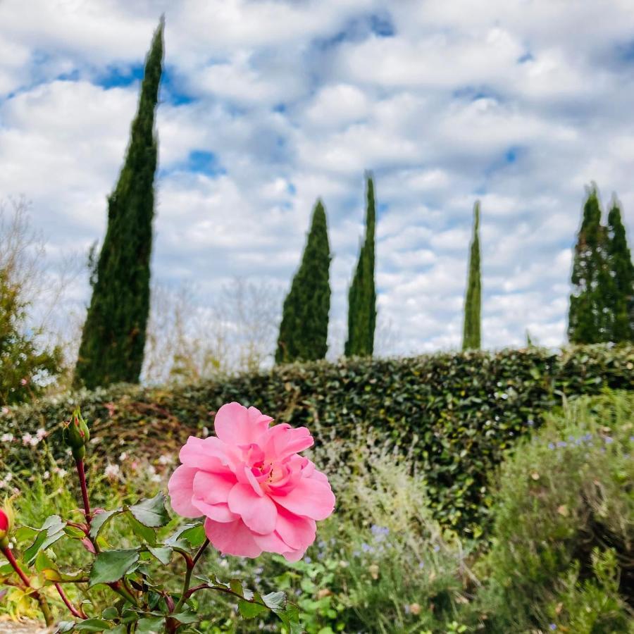Podere La Chiusella B&B Rapolano Terme Bagian luar foto