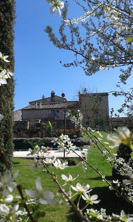 Podere La Chiusella B&B Rapolano Terme Bagian luar foto